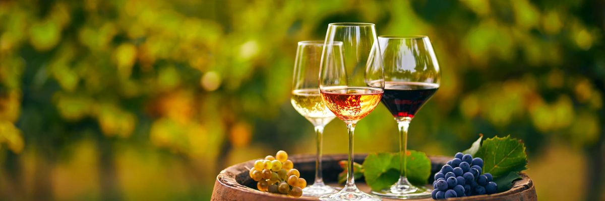 A Lidl tovább erősítette borértékesítési pozicióját a hazai és a nemzetközi piacon