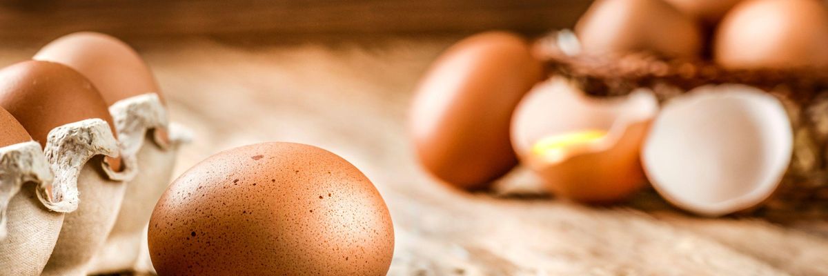 A termelői költségek hajthatják feljebb a tojás árát