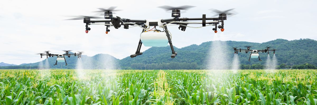 Akcióban az első hazai növényvédő drónpilóta