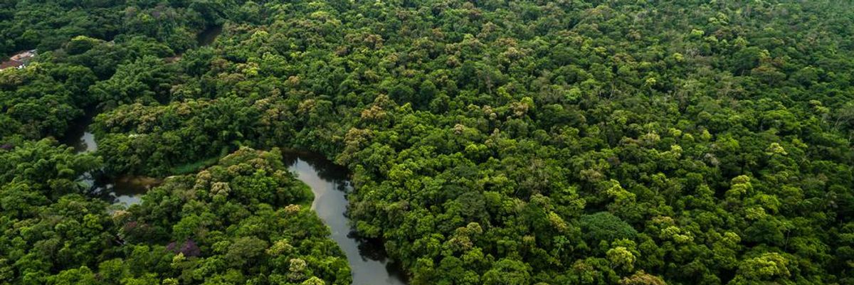 Amazonas-medence Peruban trópusi őserdő