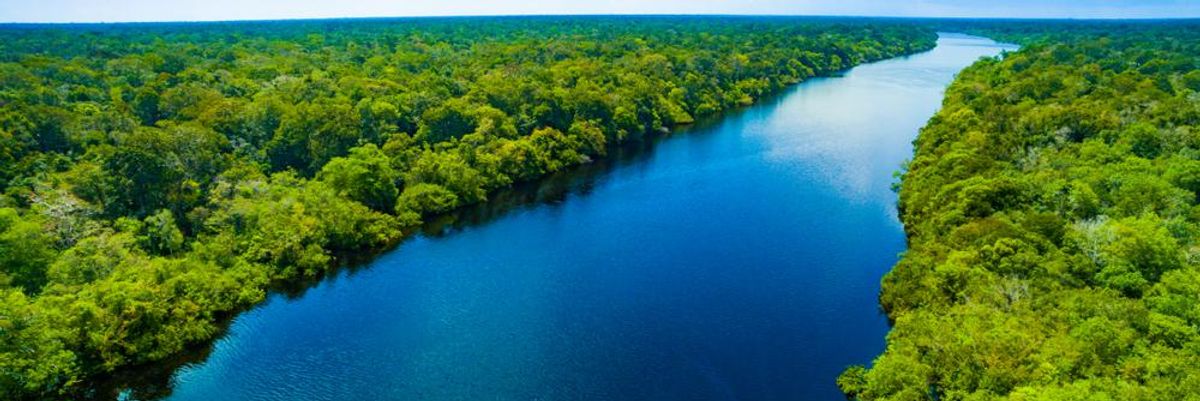 Az Amazonas-folyó az Amazóniai esőerdőben, NFT-kkel próbálják menteni az erdőt
