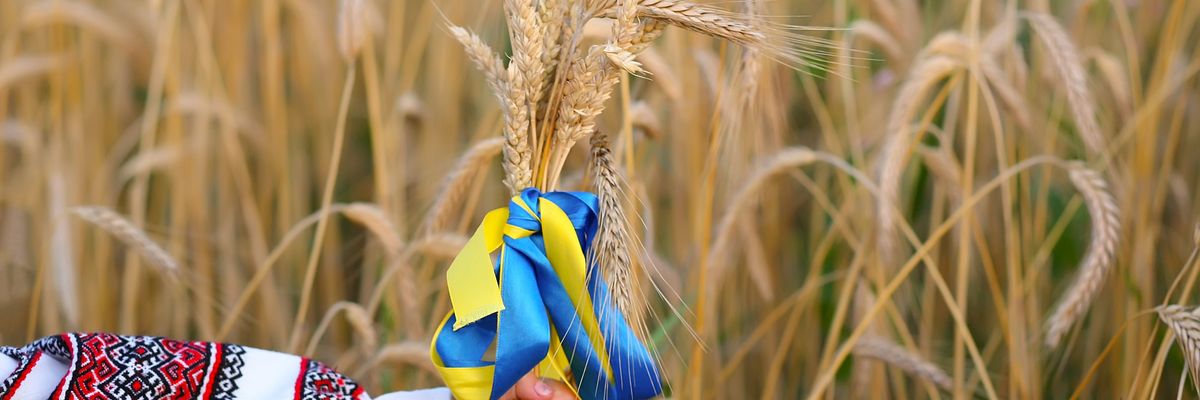 Az ukrán gabonatermelés és export csökkenése várható 