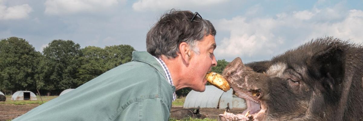 Dr. Kees Scheepens a sertésekkel suttógó holland állatorvos