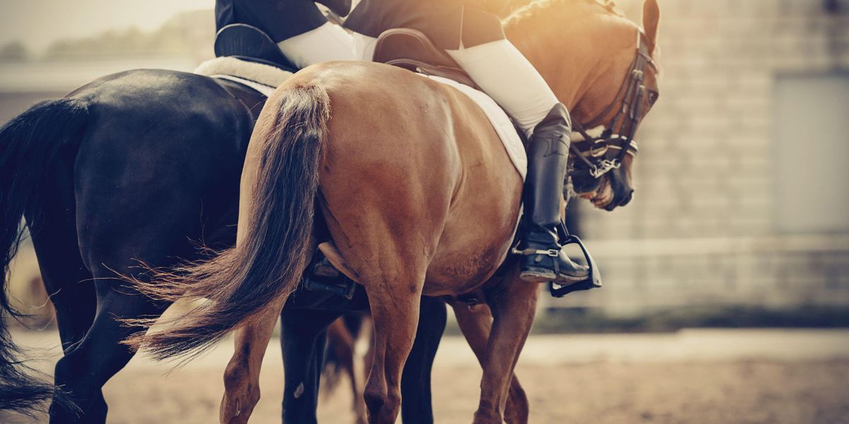 Drága sport a lovaglás