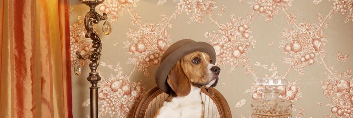 Egy kalapos beagle kutya a gazdását nézi, miközben az asztalnál ülve whisky-t iszik egy vintage környezetben 