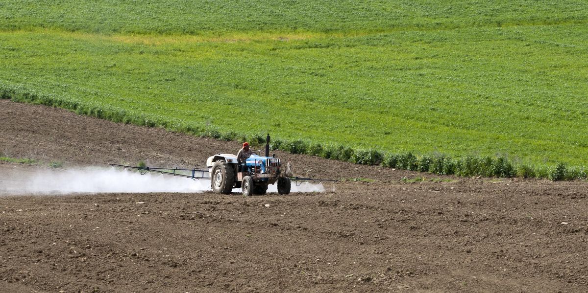 Komoly kihívás a gazdálkodók számára a növényvédő szerek csökkentésének uniós előírása