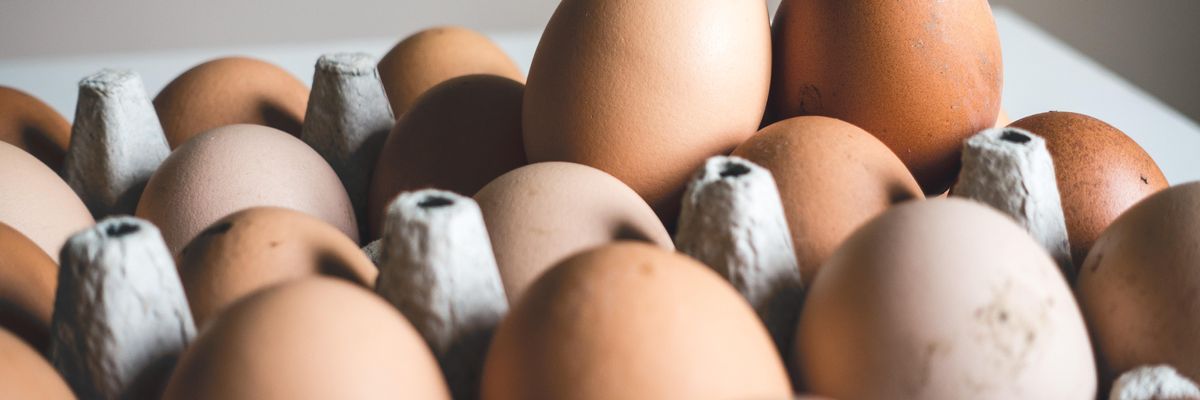 Árat emelnének a tojásosok, de nem tudnak