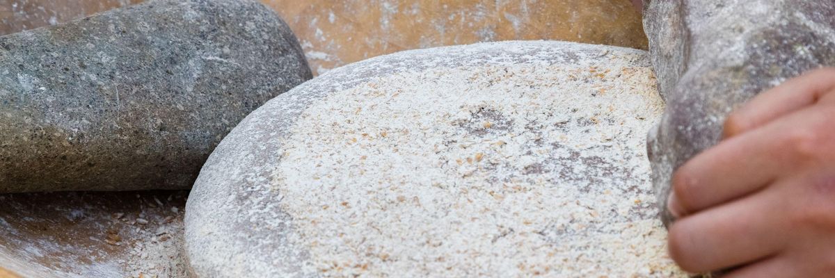 Hagyományosan kövek között őrlik az alakor ősbúzát, így készítenek belőle lisztet