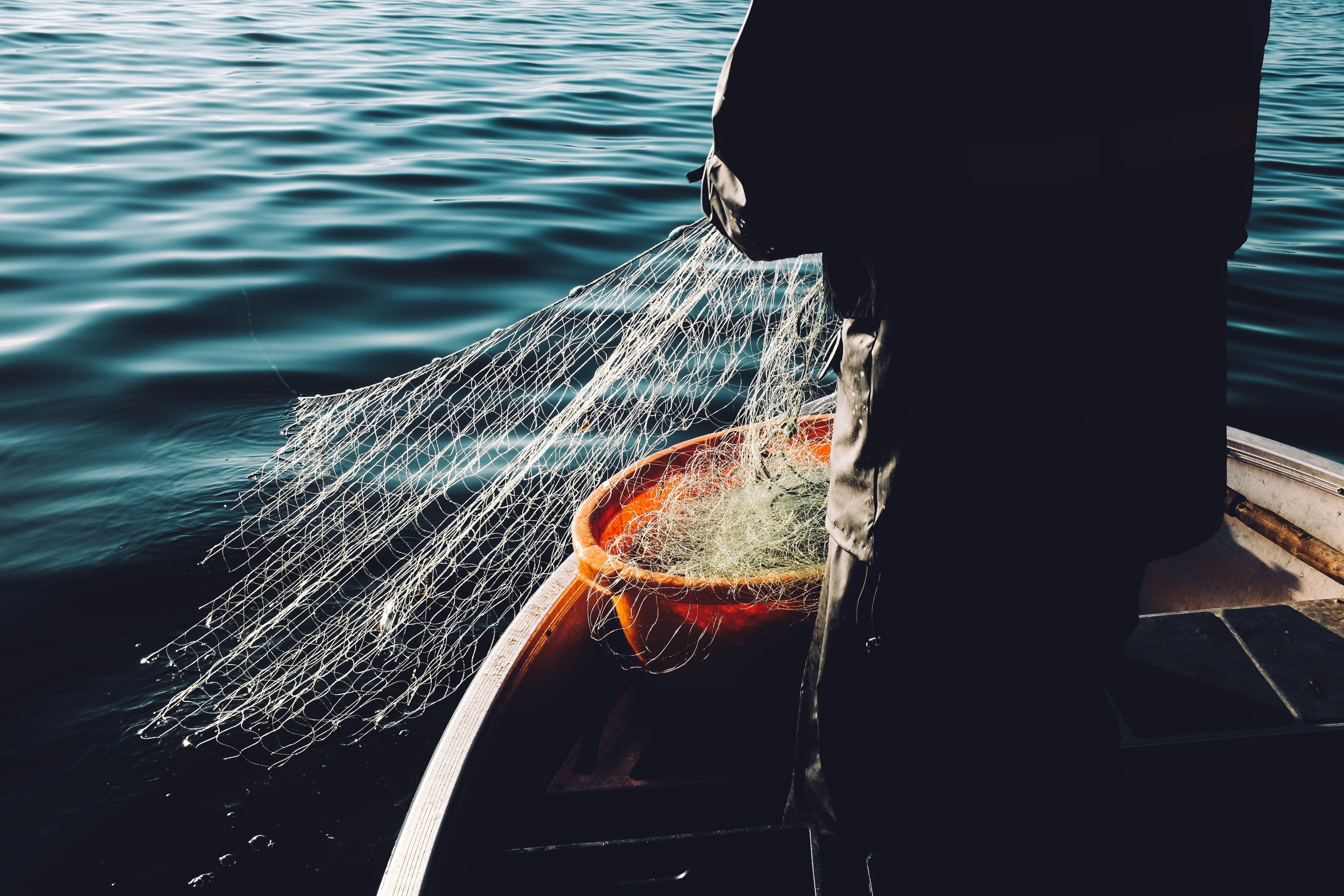Halász húzza ki a hálóját a vízből
