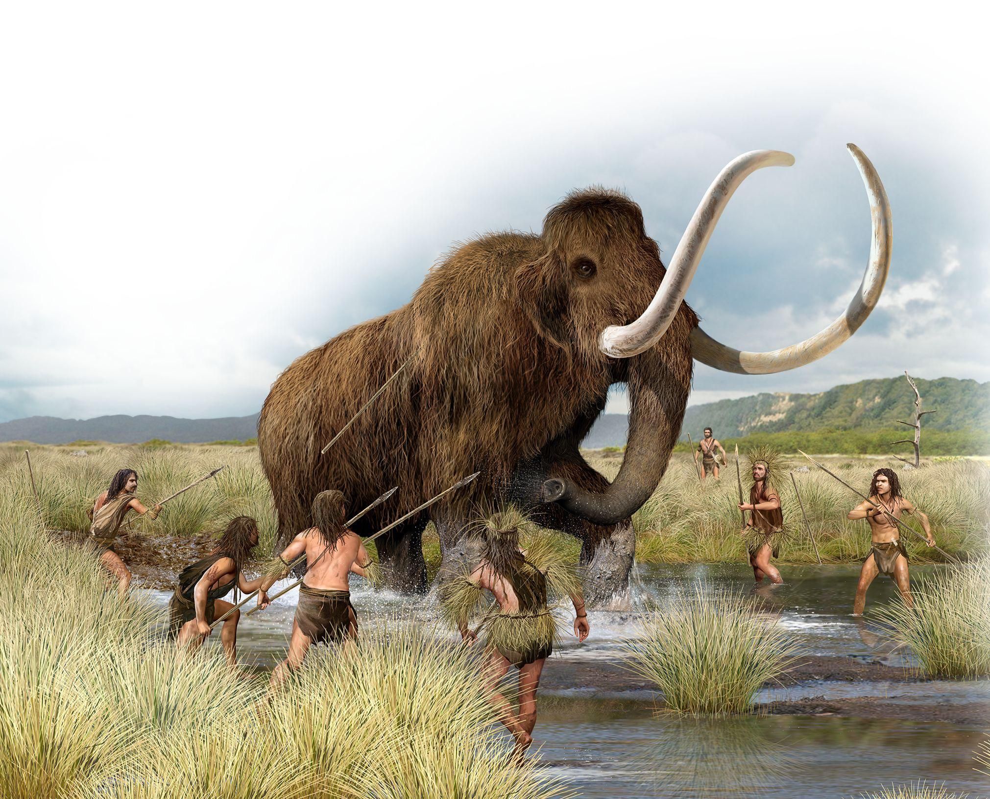 A tundra füves területein mamutra vadászó emberek