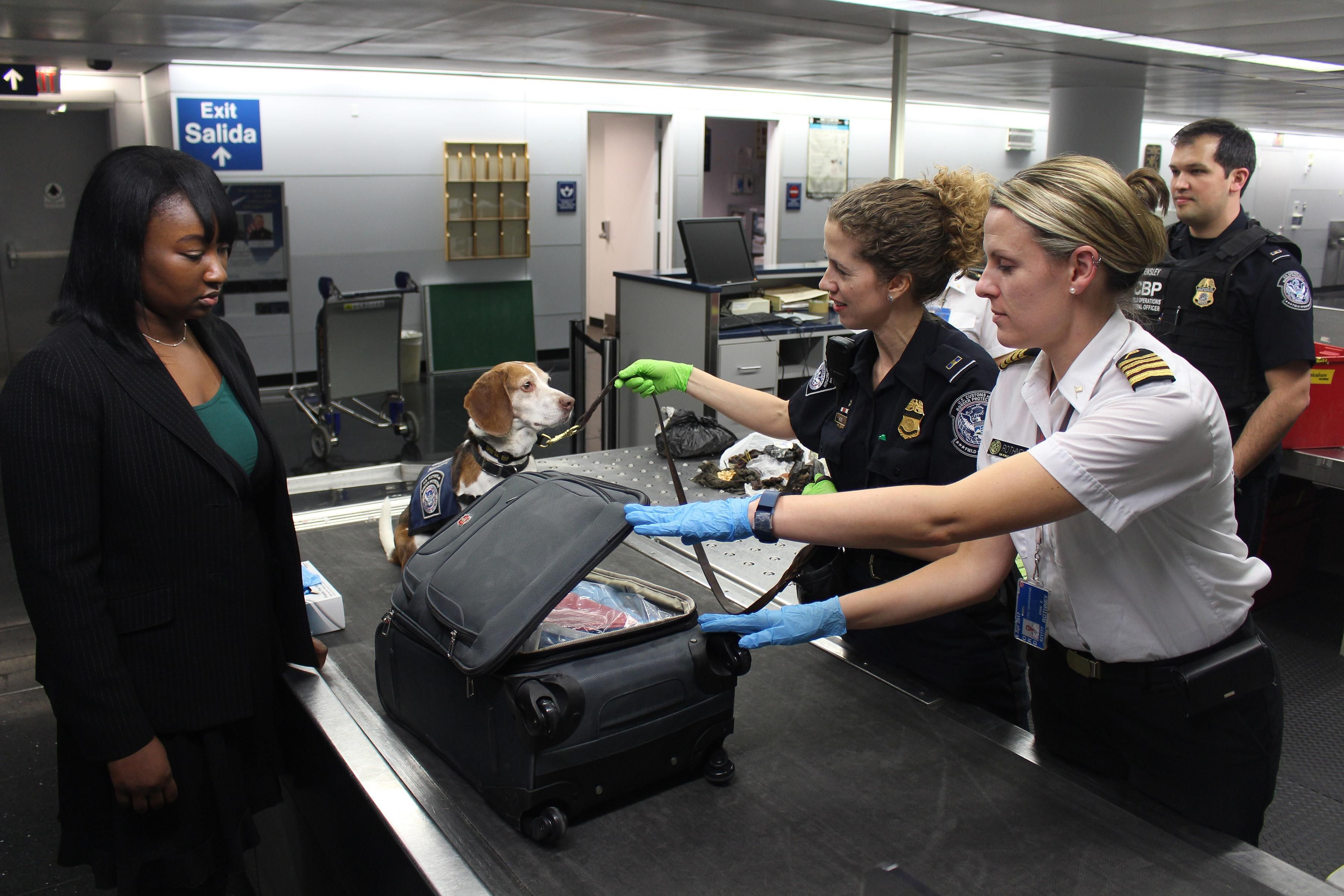 Vámosok kutyával vizsgálják egy utas bőröndjét egy reptéren