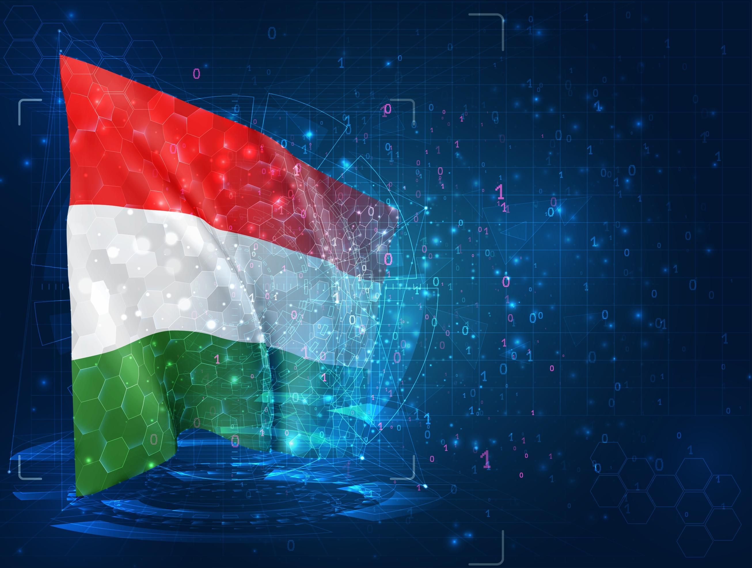 A magyar zászló egy digitális, kék környezetben, bináris kód között, magyarok is részt vettek a hackervadászatban