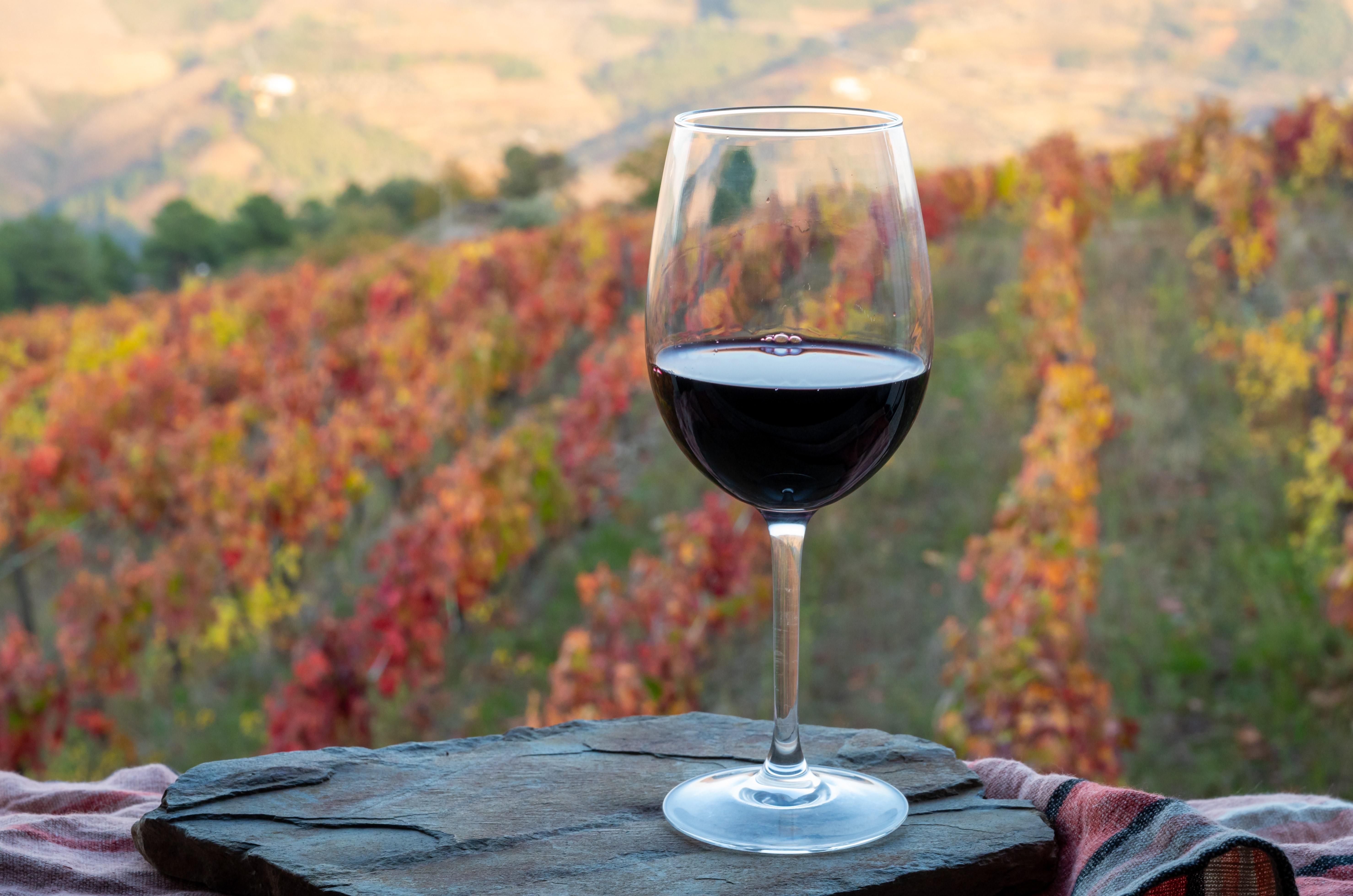 Választania kell Kaliforniának a víz és a bor között