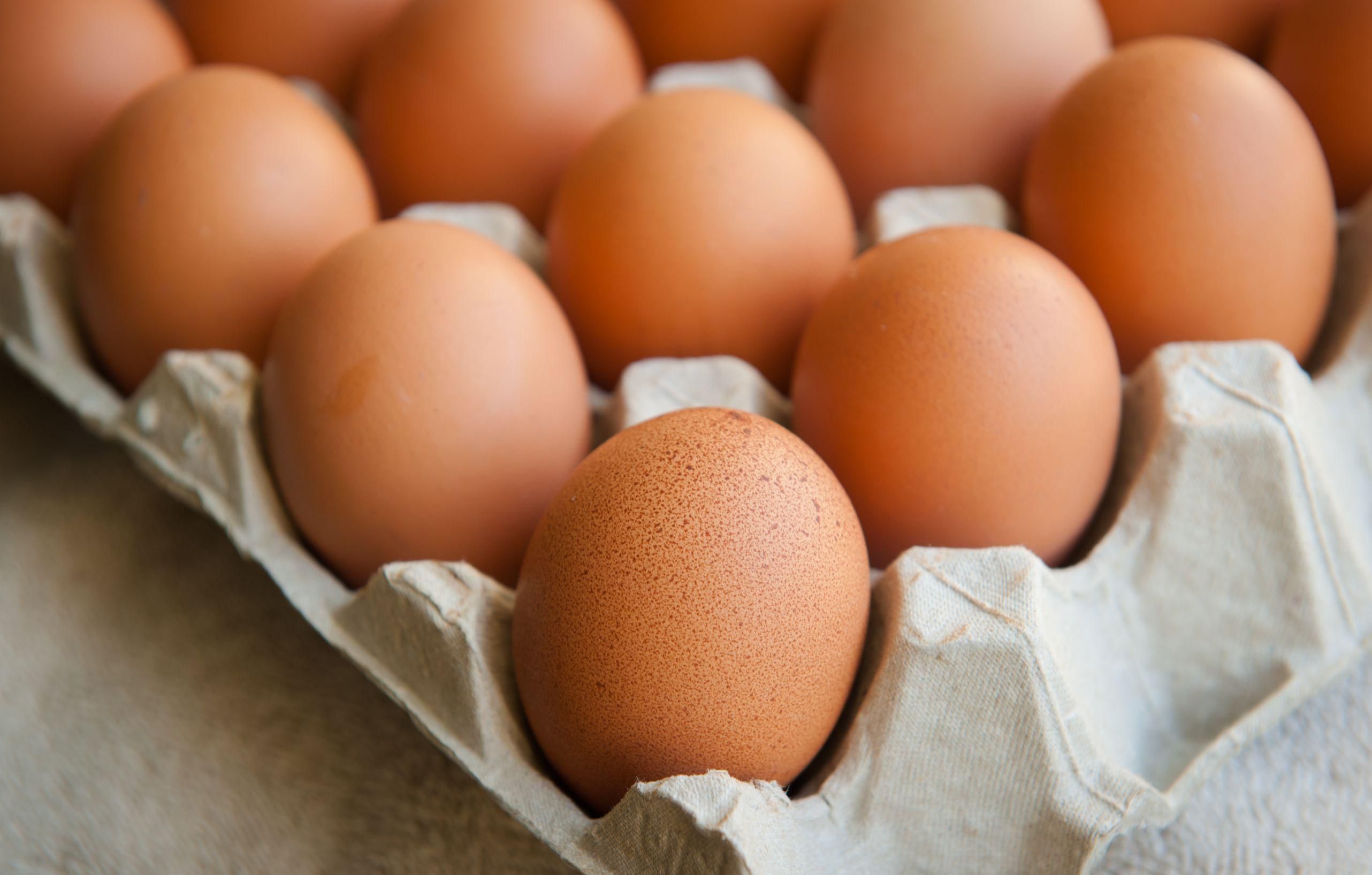 Veszélyben vannak a hazai tojástermelők