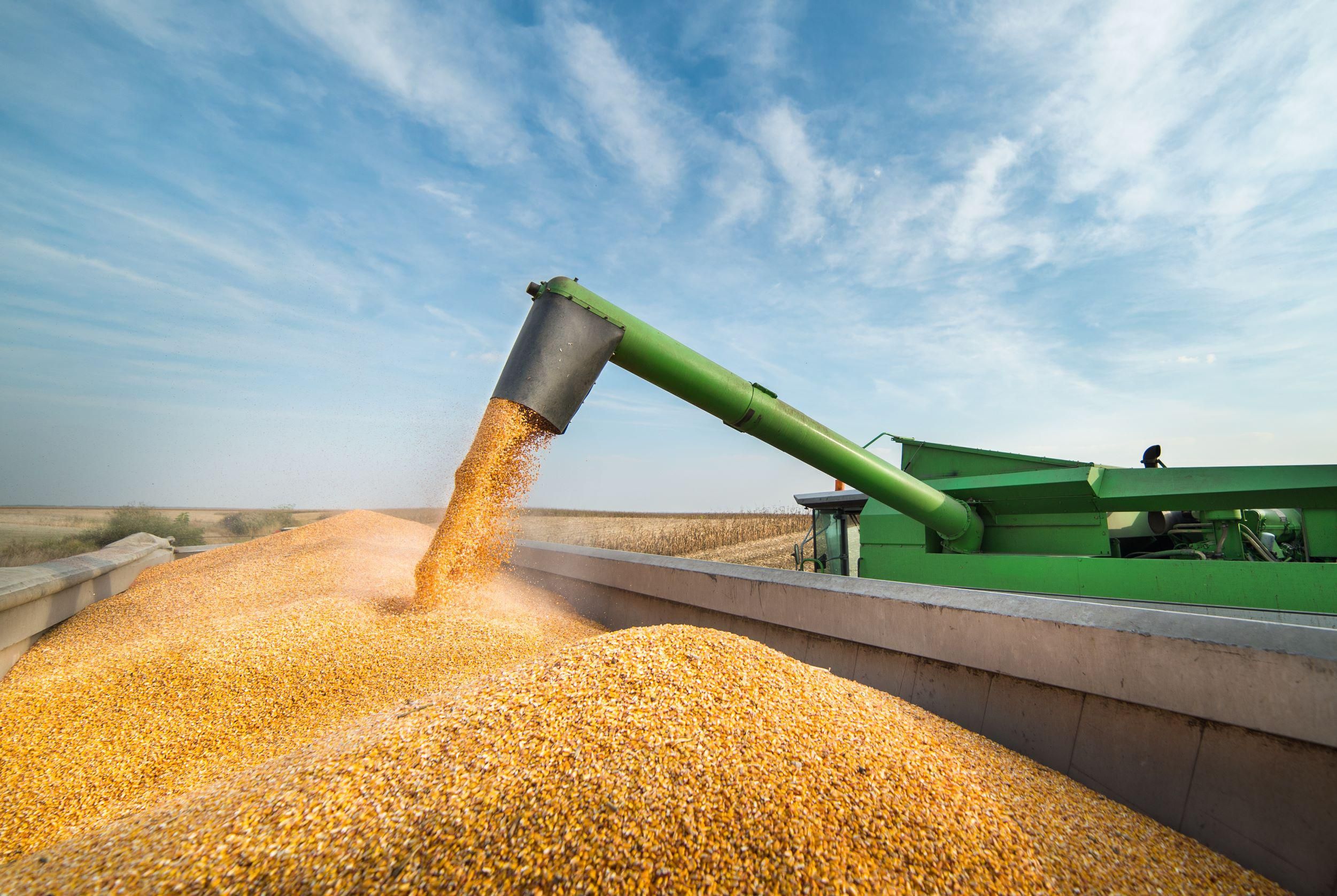Korlátozás lépett életbe a hazai gabonaexportban