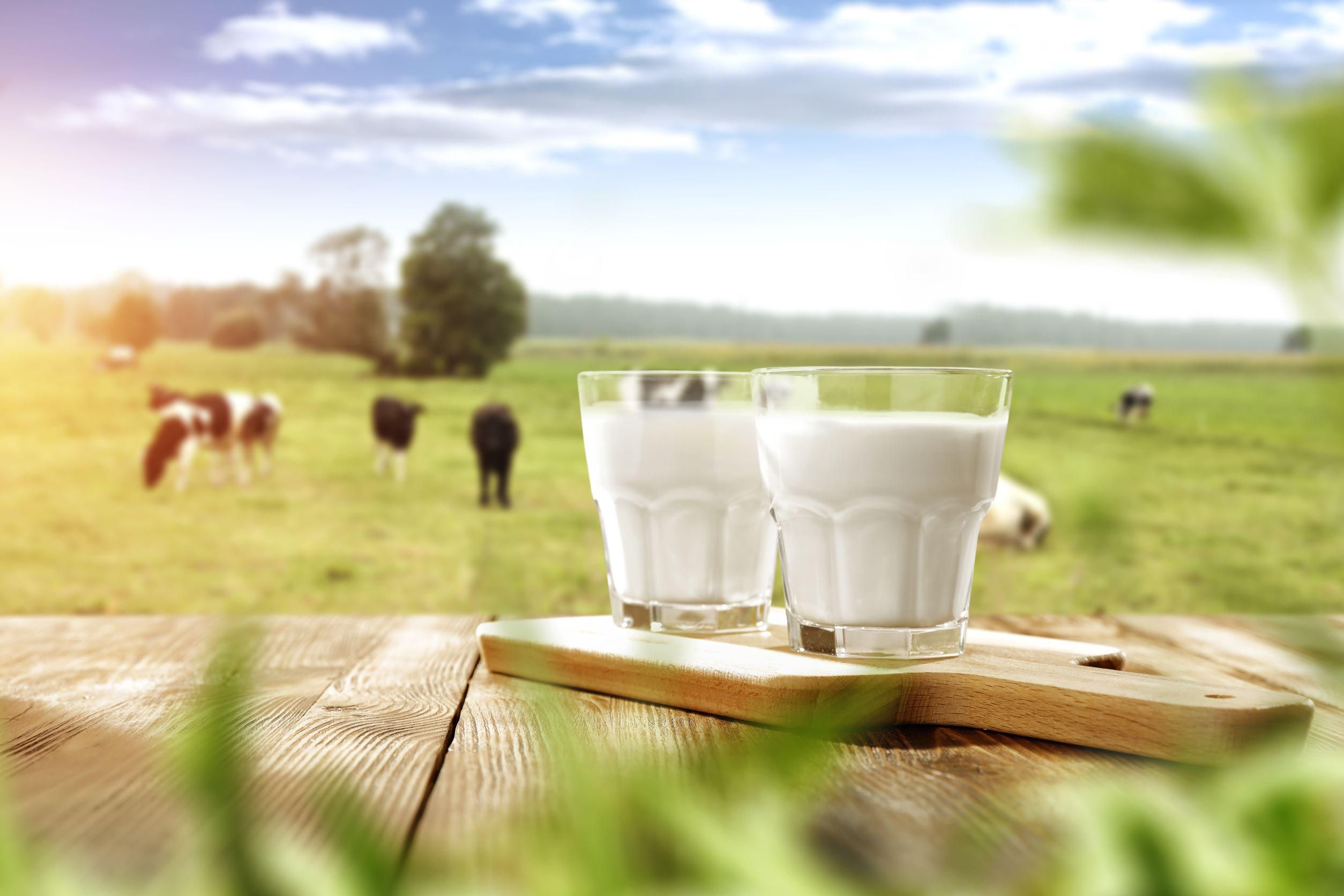 Népszerű termék a tej, és nem várható a fogyasztásának a csökkenése sem