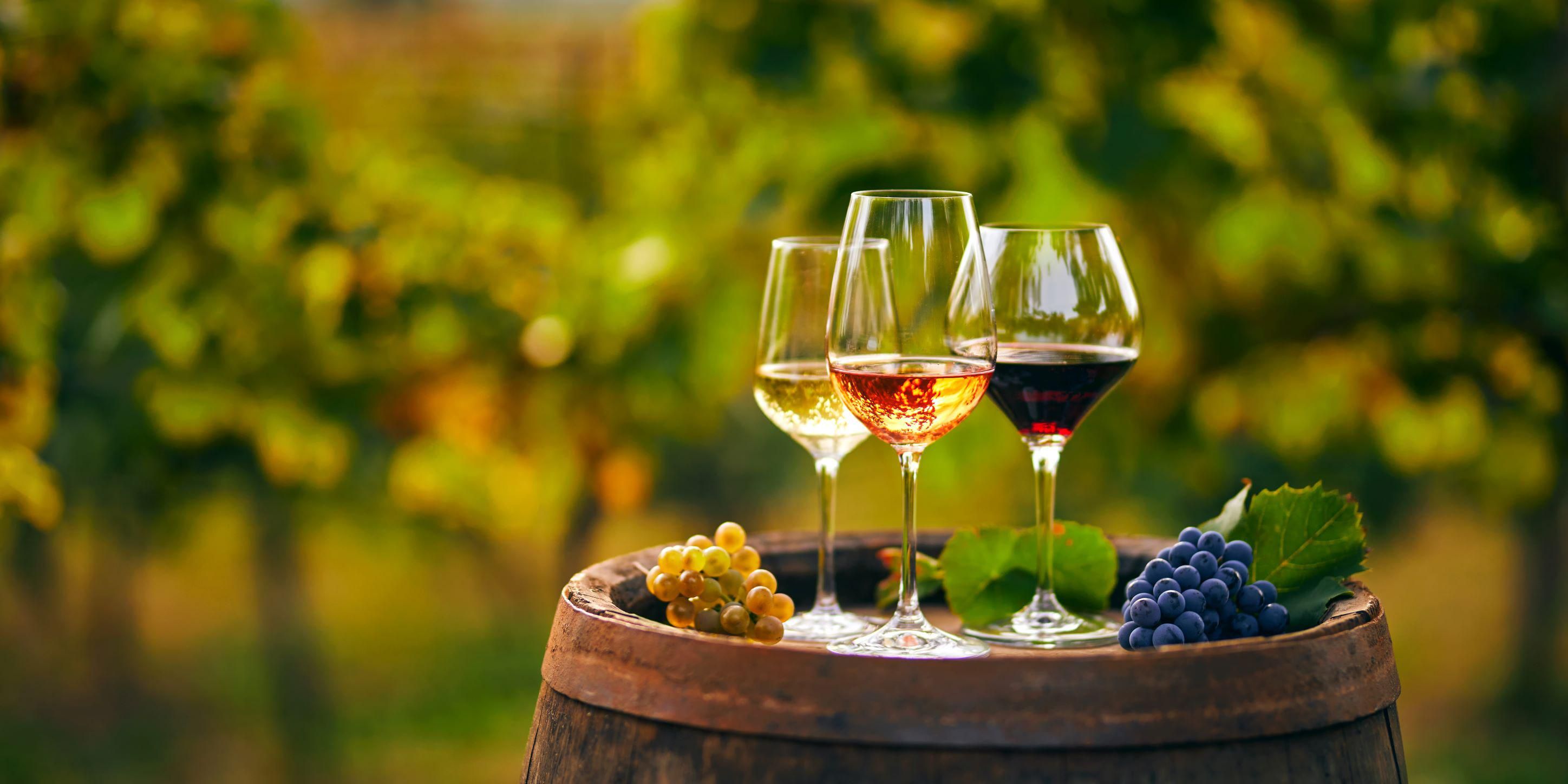 A Lidl tovább erősítette borértékesítési pozicióját a hazai és a nemzetközi piacon