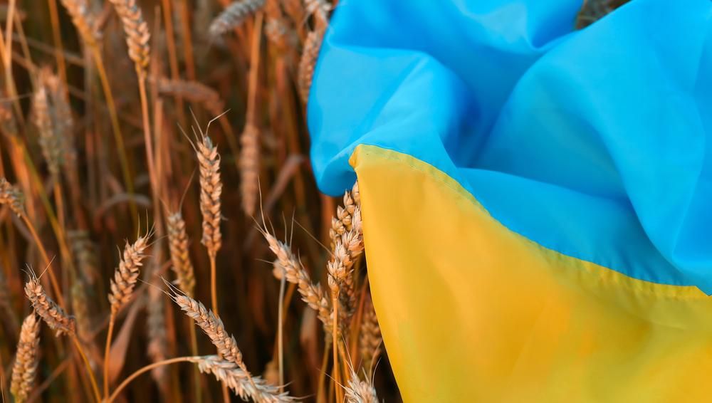 Búza lábon sárga-kék ukrán zászlóval