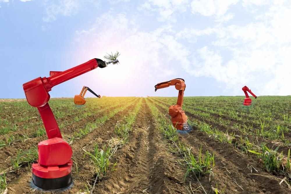 Piros színű mezőgazdasági robotok dolgoznak a földeken