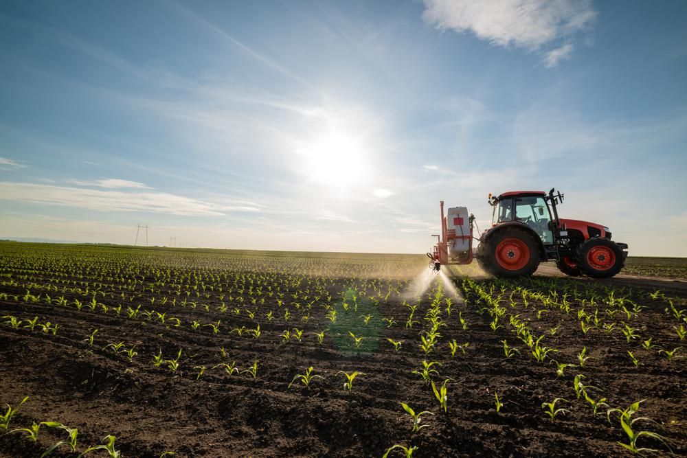 Zsenge kukoricahajtást traktor műtrágyáz a földeken