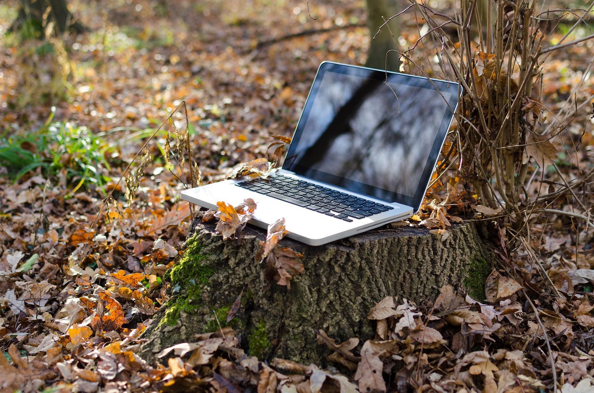 Ezüst nyitott laptop egy fatönkön az erdőben