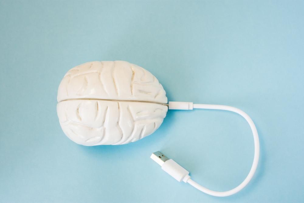 Fehér műanyag emberi agy és usb-kábel