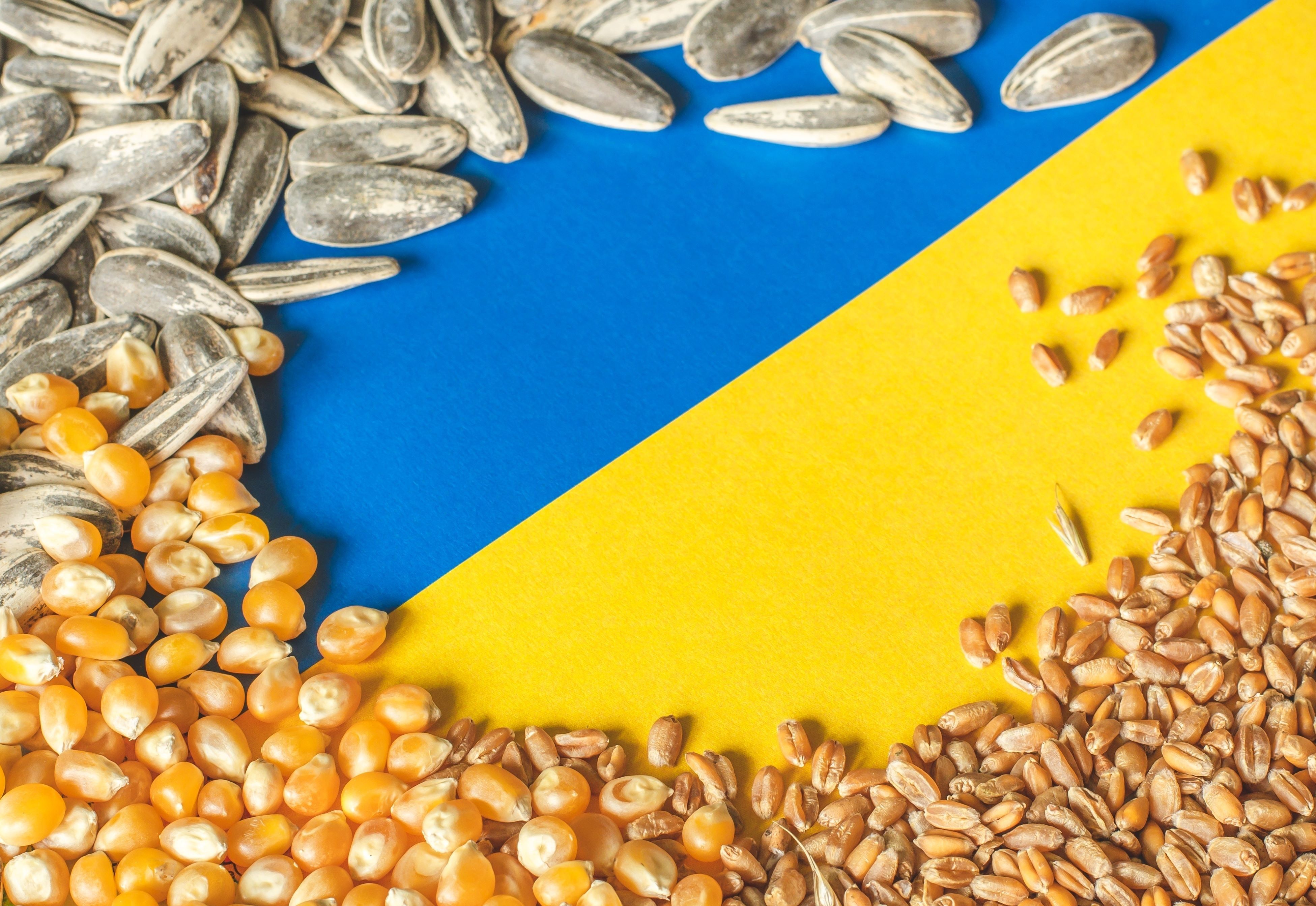 Szeptember közepéig marad a ránk is vonatkozó ukrán gabonastop