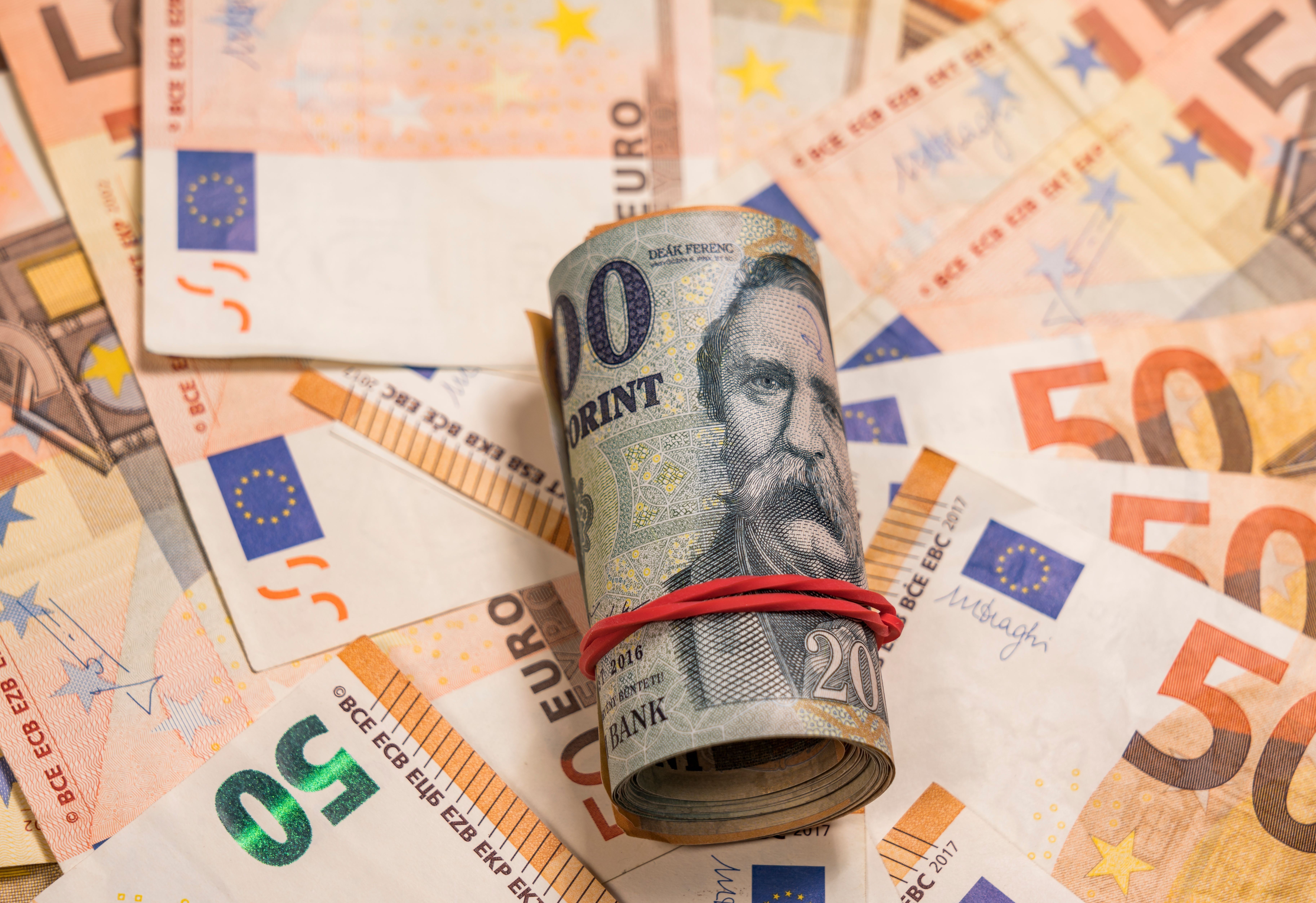 A magyarok többsége szeretne euróval fizetni
