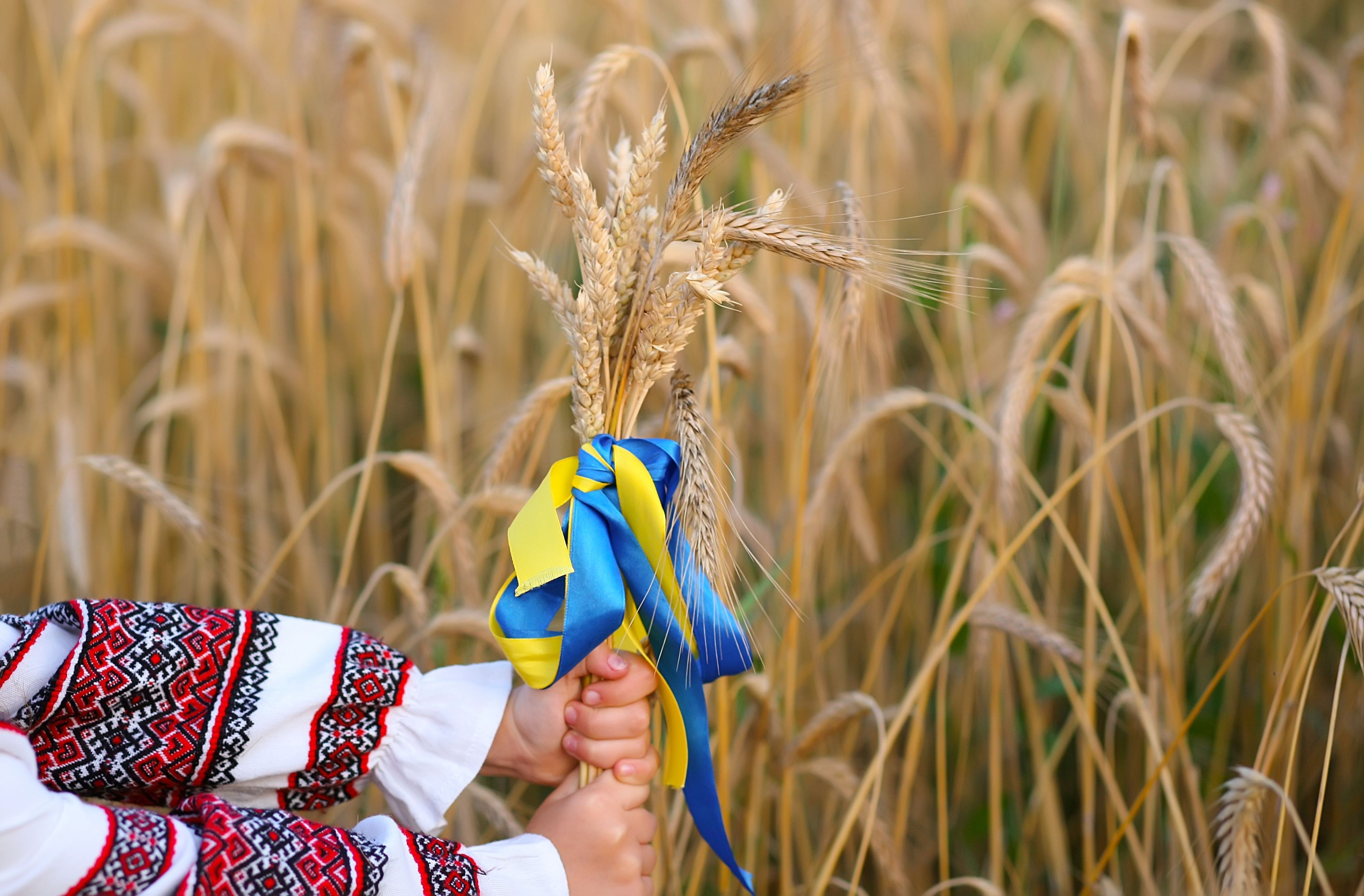 Az ukrán gabonatermelés és export csökkenése várható 
