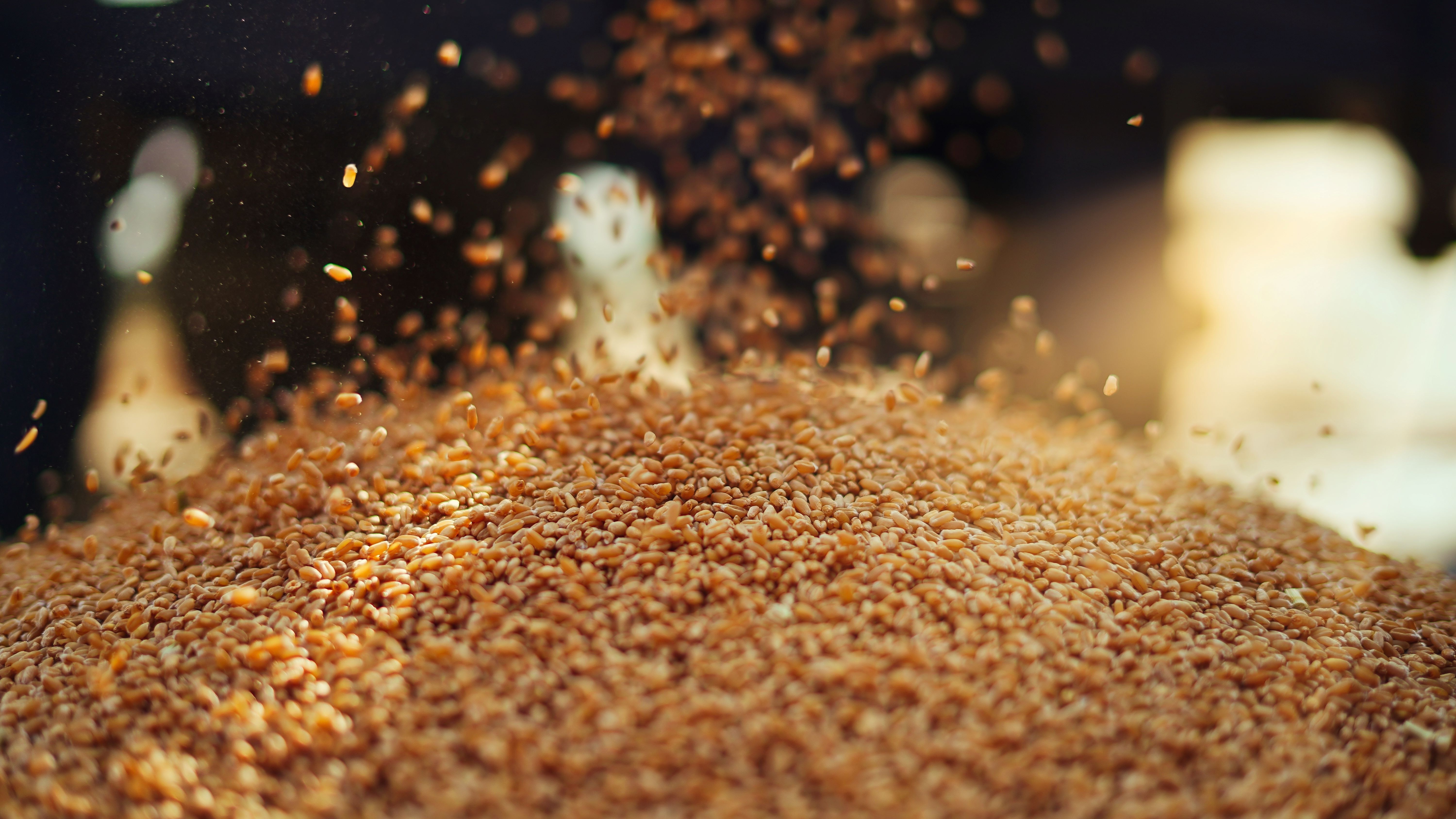 Óriási gabona-felvásárlásba kezdett az ázsiai nagyhatalom