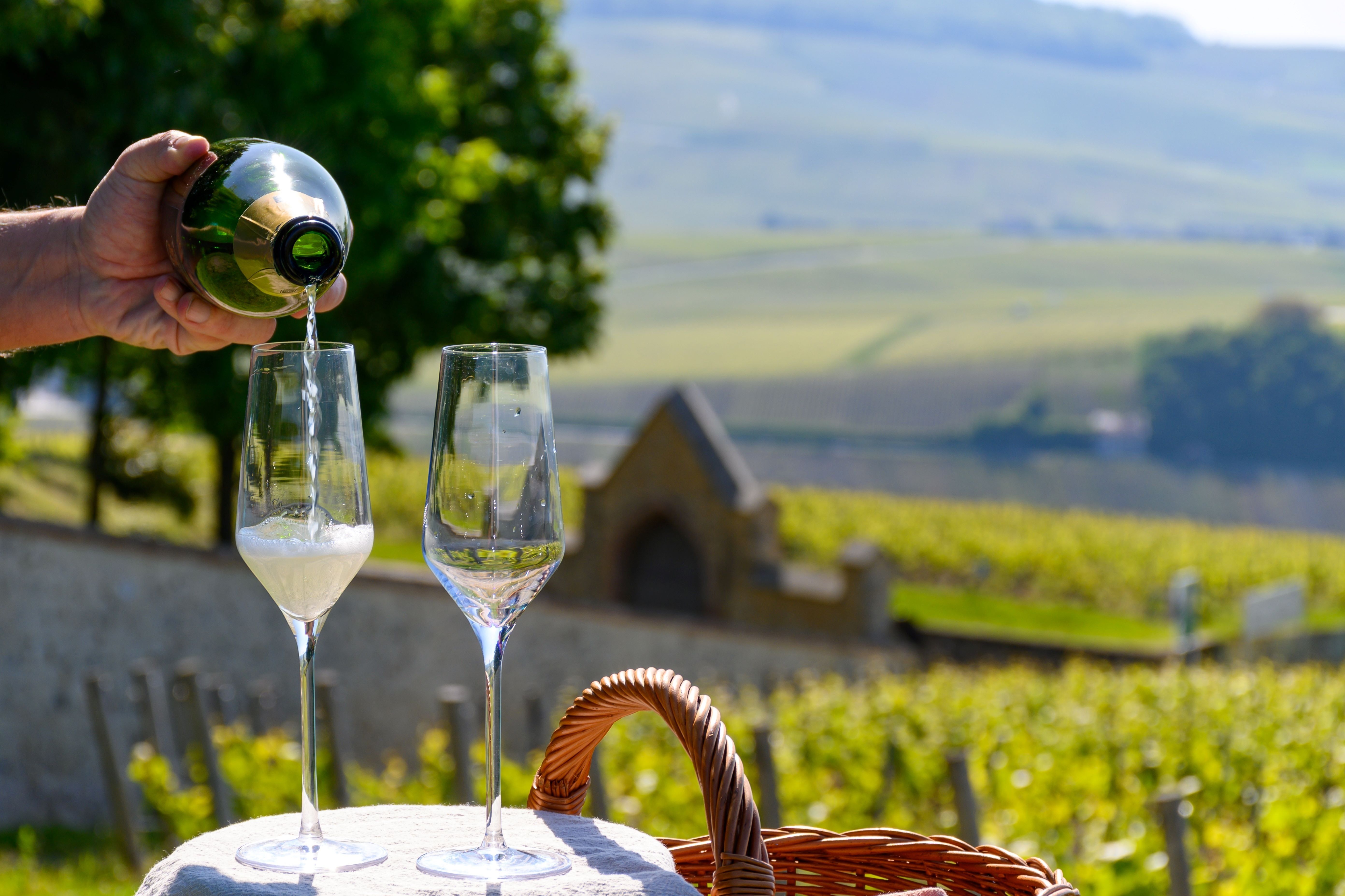 A pezsgőpiac irányába nyit Tokaj-Hegyalja