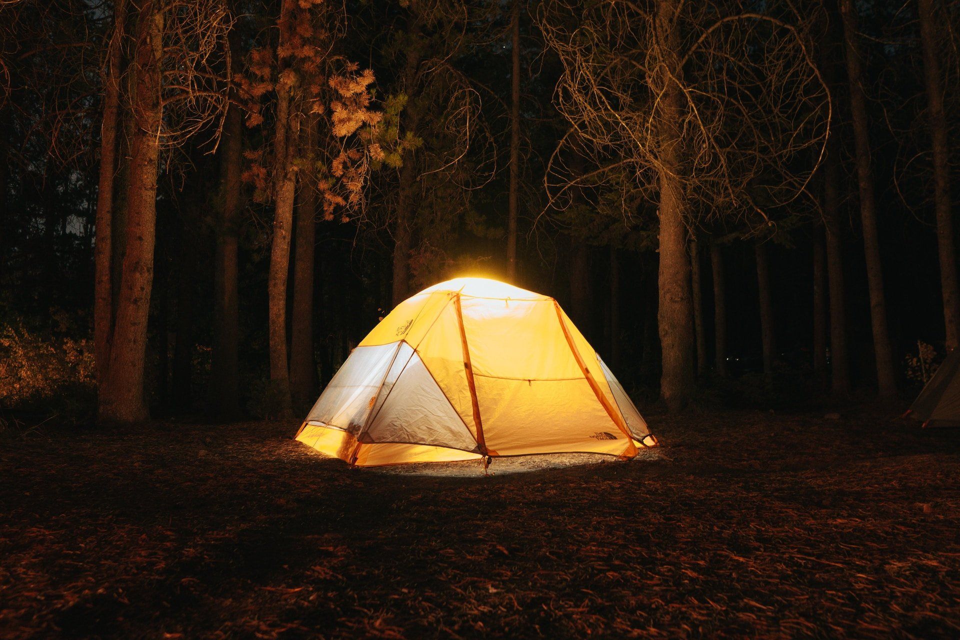 egy kivilágított sátor egy erdőben