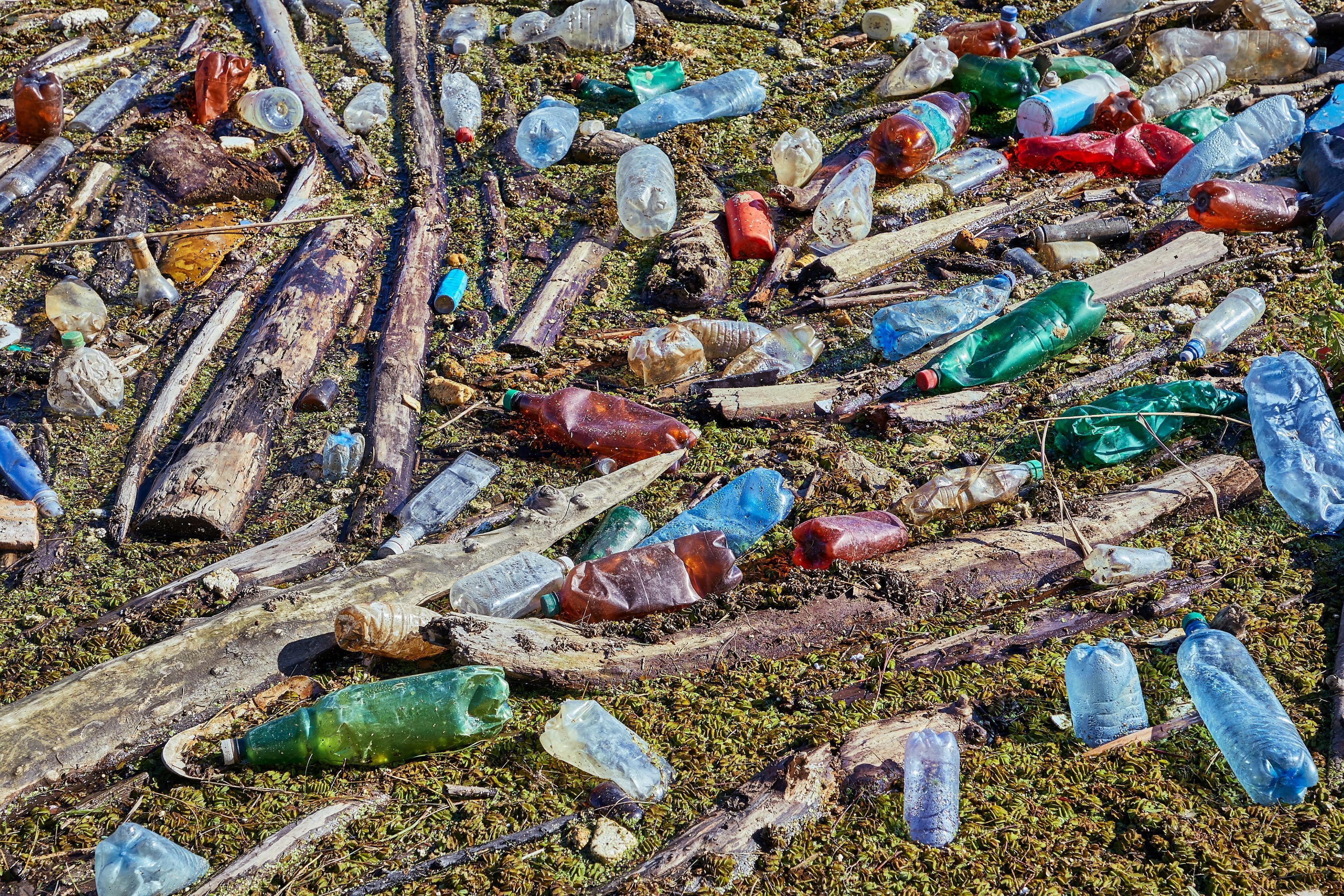 Rengeteg szemetet gyűjtöttek össze a Tisza árterében, főleg PET-palackokat