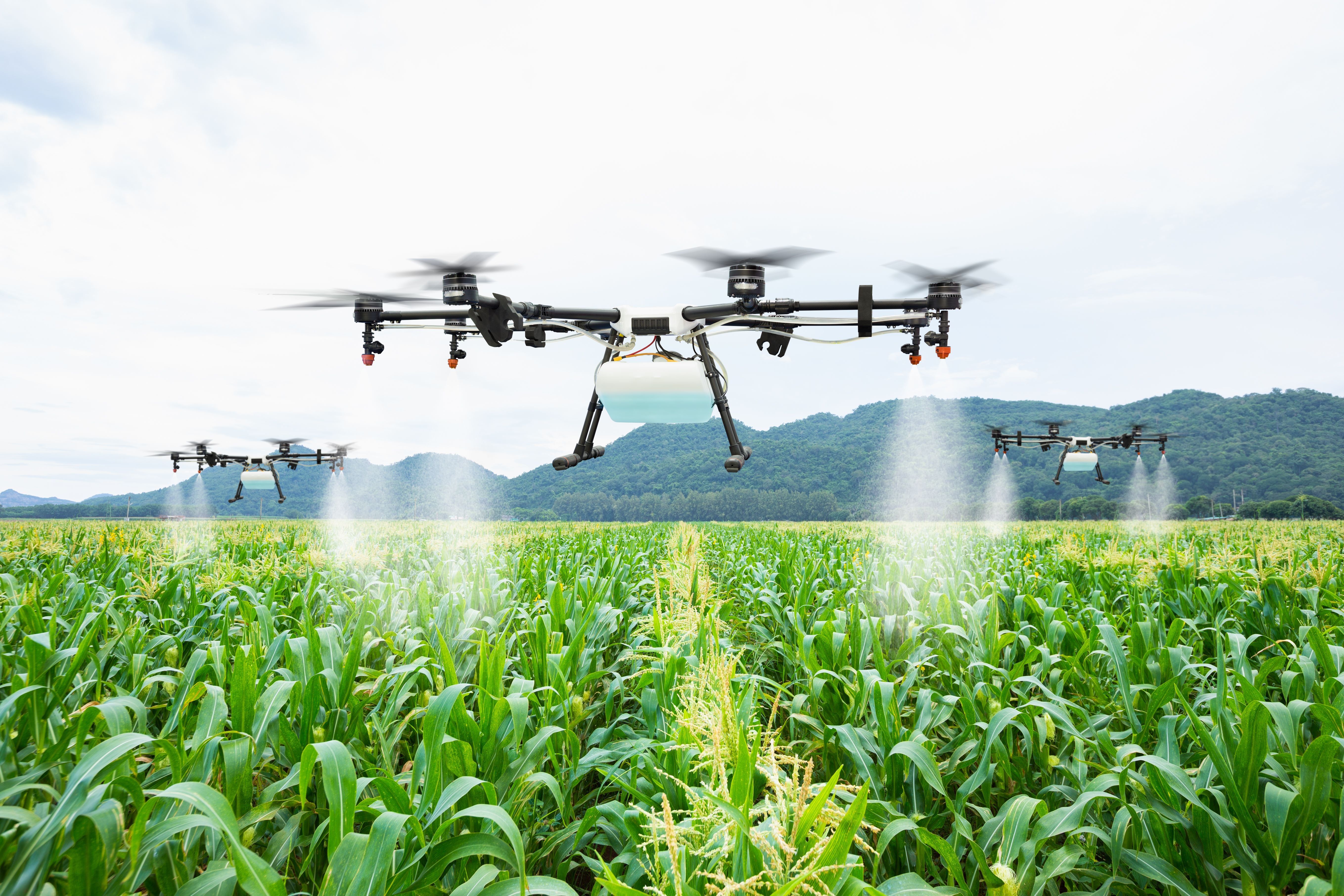 Akcióban az első hazai növényvédő drónpilóta