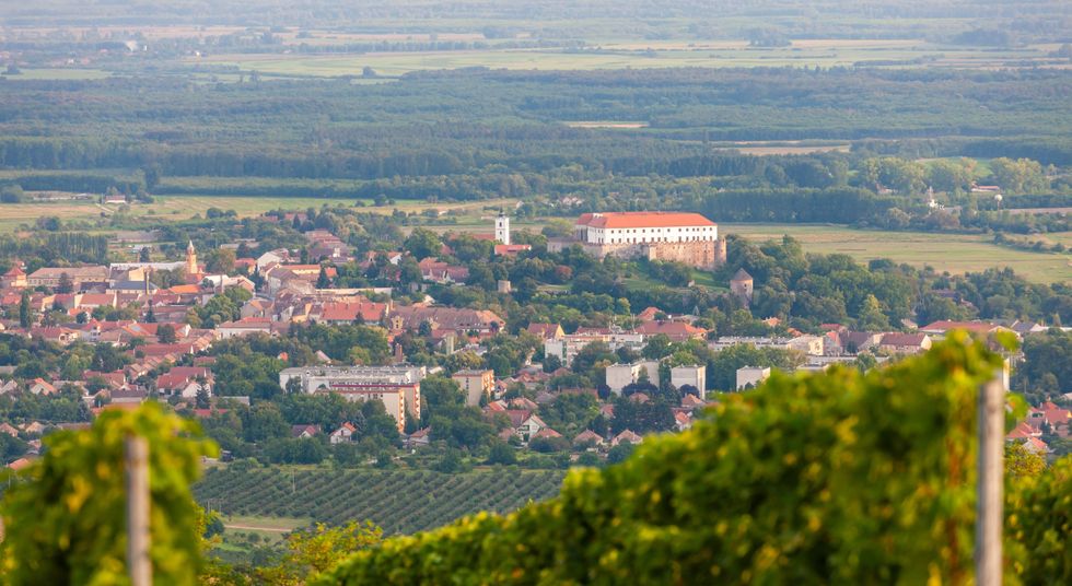 Erre futja a jövedelmünkből európai összevetésben