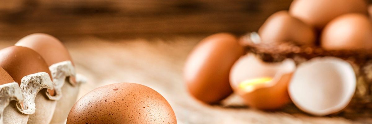 Jó ideje veszteségesen működik a hazai tojásszektor