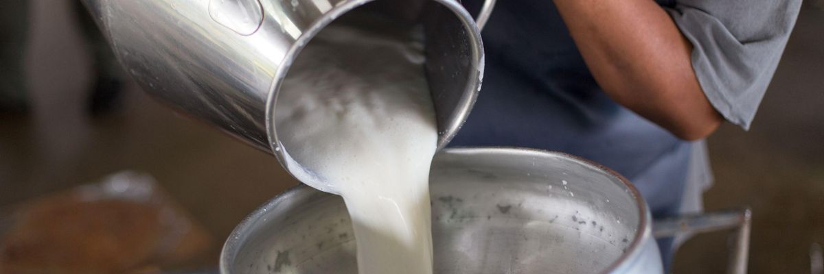 Komoly veszélyben van a hazai tejágazat