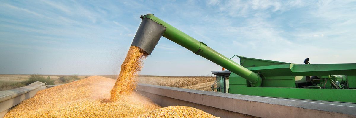 Korlátozás lépett életbe a hazai gabonaexportban