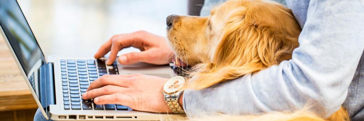 Laptopon gépel valaki, karja alatt egy kutyával
