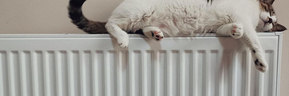 Macska a forró fűtőtesten