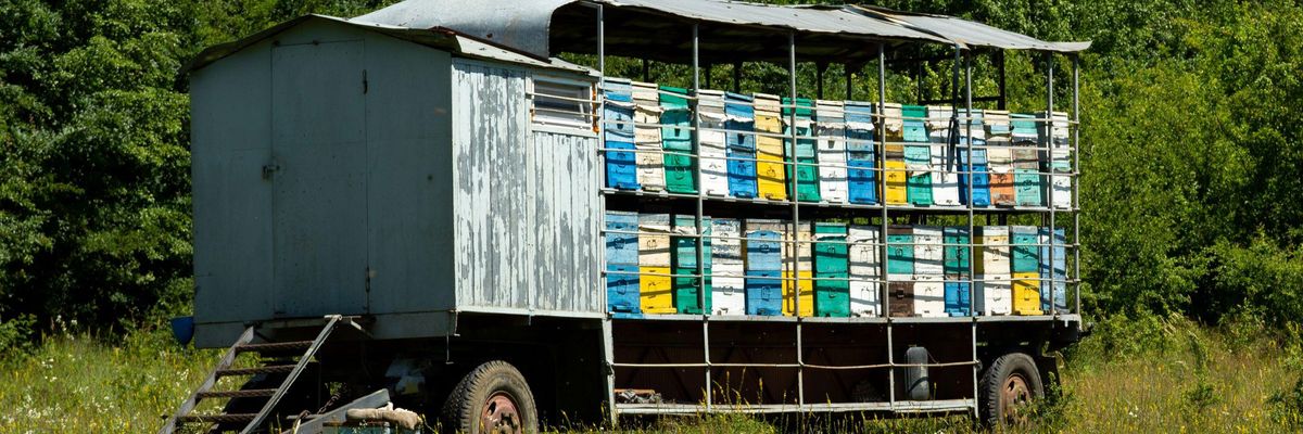 Méhész járművek után lehet támogatásokat igénybe venni
