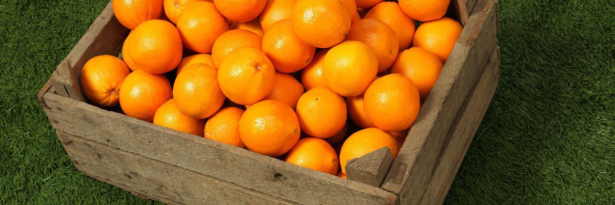 Narancsok és citromok kaphatnak elsőként ehető bevonatot