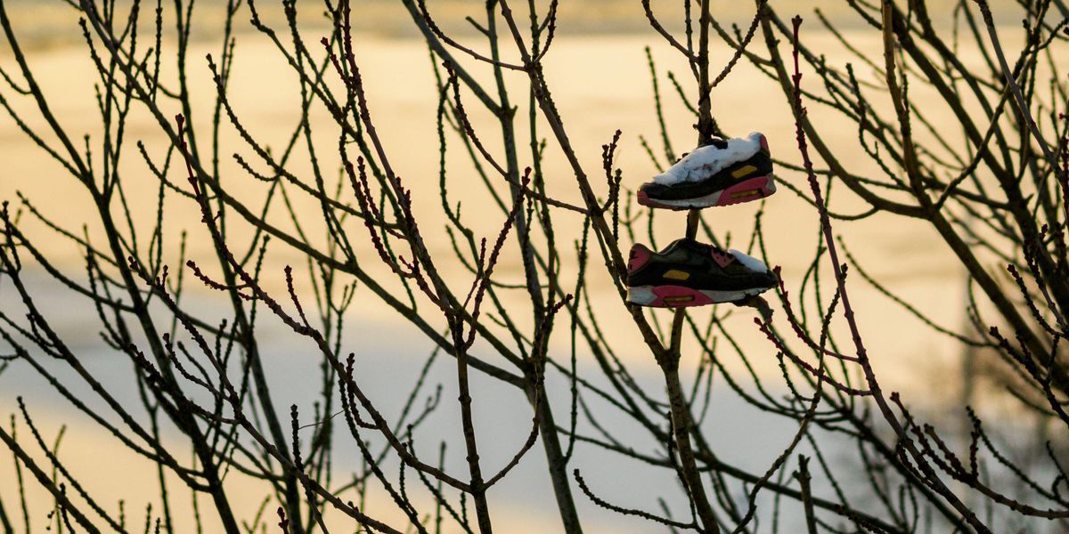Nem rendeltetésszerűen használt sportcipő a fán