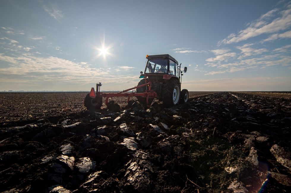 Az ágazat csúcsszakértői az agrárium kitörési pontjairól