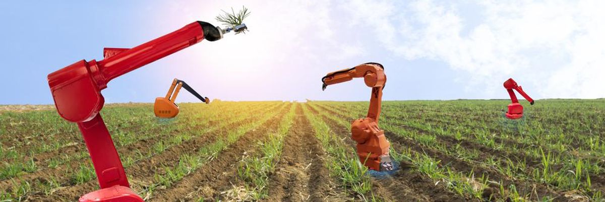 Piros színű mezőgazdasági robotok dolgoznak a földeken