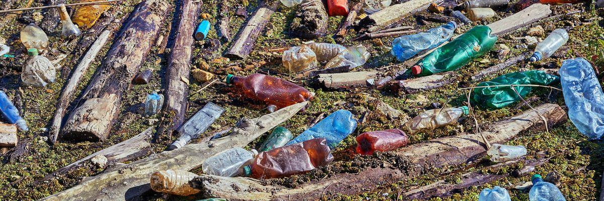 Rengeteg szemetet gyűjtöttek össze a Tisza árterében, főleg PET-palackokat