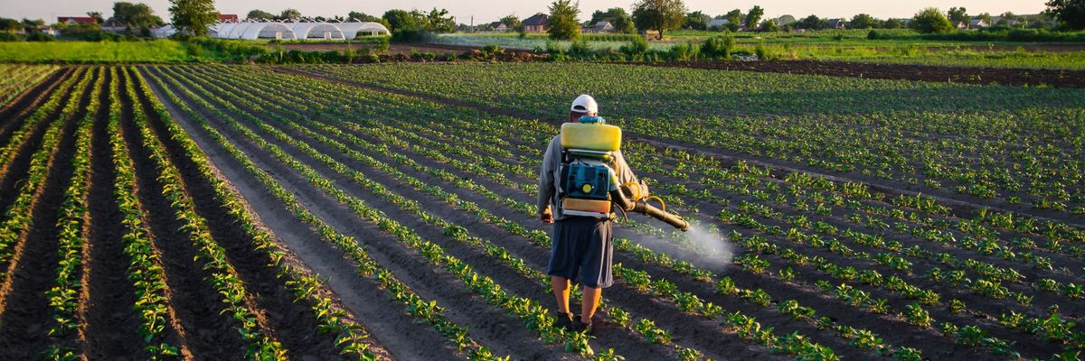 Százezres munkaerőhiány jellemzi a hazai mezőgazdaságot