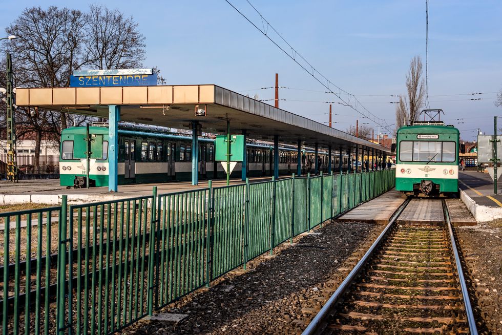 Kilőhetik a veszélyes vadakat Szentendre 40 utcájában