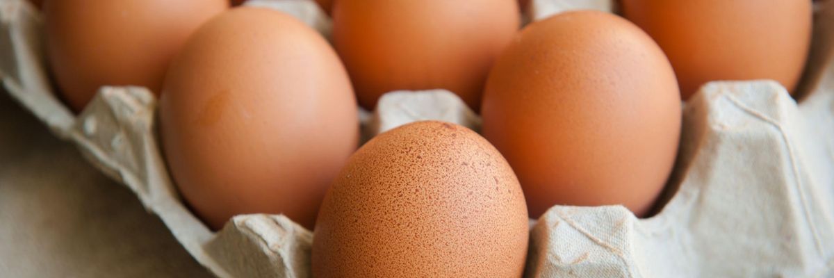 Veszélyben vannak a hazai tojástermelők