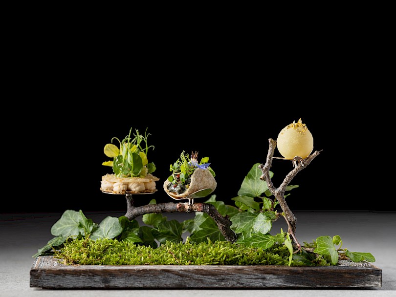 Plat&aacute;n Gourmet &Eacute;tterem